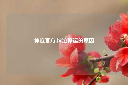 神泣官方,神泣停运的原因