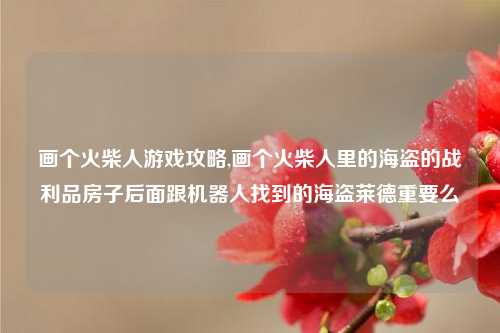 画个火柴人游戏攻略,画个火柴人里的海盗的战利品房子后面跟机器人找到的海盗莱德重要么