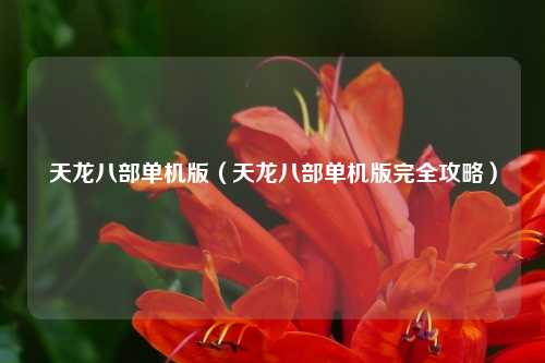 天龙八部单机版（天龙八部单机版完全攻略）