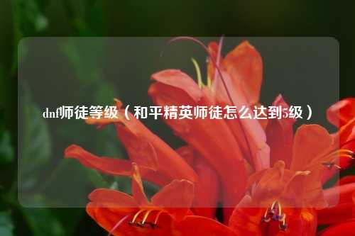 dnf师徒等级(和平精英师徒怎么达到5级)