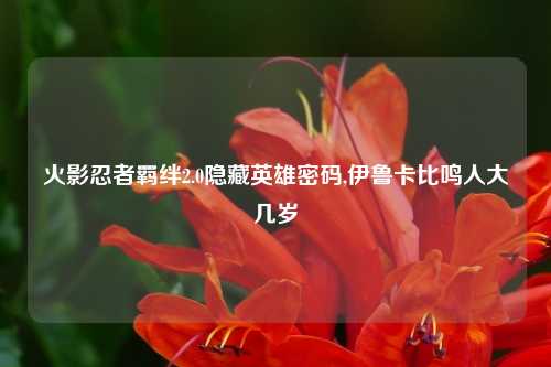 火影忍者羁绊2.0隐藏英雄密码,伊鲁卡比鸣人大几岁