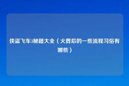 侠盗飞车3秘籍大全（火葬后的一些流程习俗有哪些）