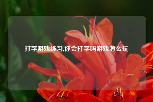 打字游戏练习,你会打字吗游戏怎么玩