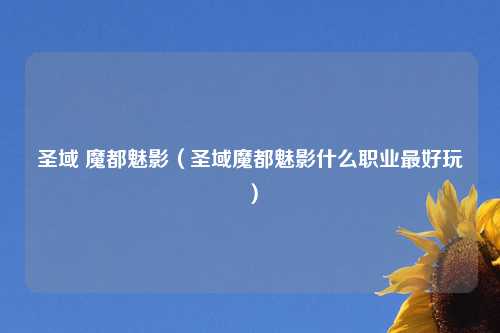 圣域 魔都魅影（圣域魔都魅影什么职业最好玩）