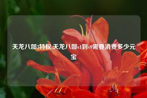 天龙八部3特权,天龙八部v1到v9需要消费多少元宝