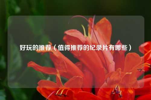 好玩的推荐（值得推荐的纪录片有哪些）