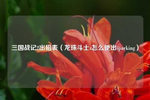 三国战记2出招表（龙珠斗士z怎么使出sparking）