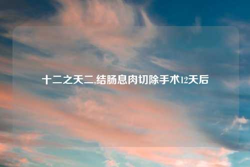 十二之天二,结肠息肉切除手术12天后