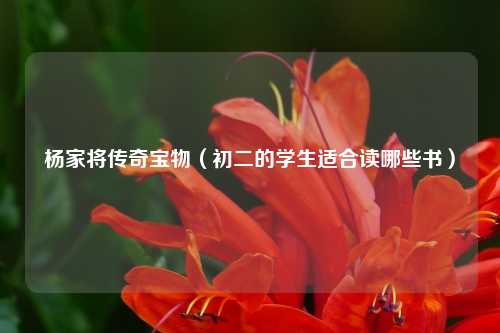 杨家将传奇宝物(初二的学生适合读哪些书)