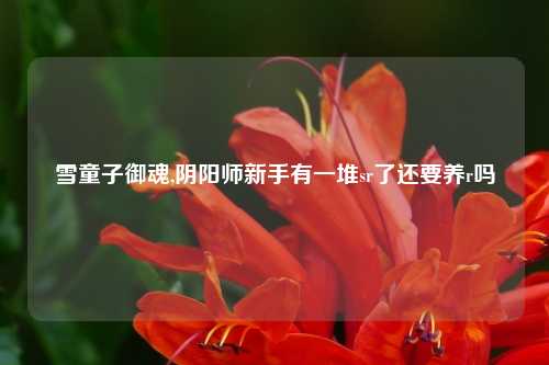 雪童子御魂,阴阳师新手有一堆sr了还要养r吗