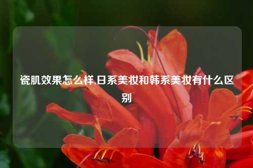 瓷肌效果怎么样,日系美妆和韩系美妆有什么区别