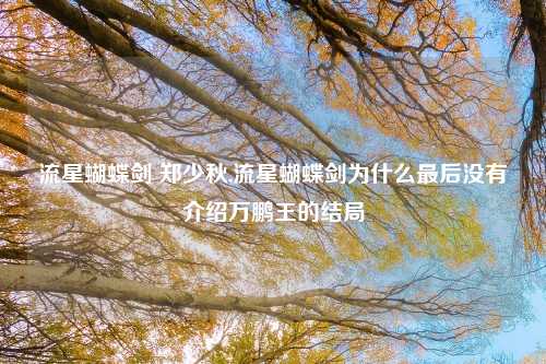 流星蝴蝶剑 郑少秋,流星蝴蝶剑为什么最后没有介绍万鹏王的结局