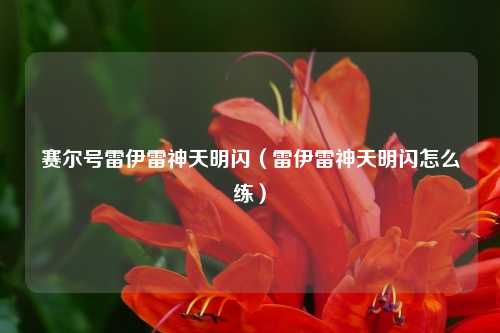 赛尔号雷伊雷神天明闪（雷伊雷神天明闪怎么练）