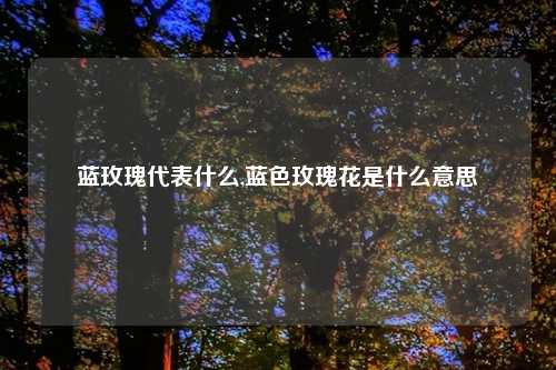 蓝玫瑰代表什么,蓝色玫瑰花是什么意思