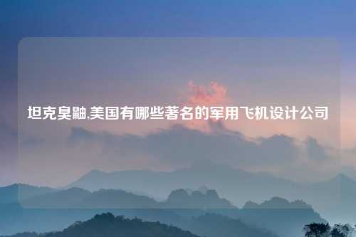 坦克臭鼬,美国有哪些著名的军用飞机设计公司