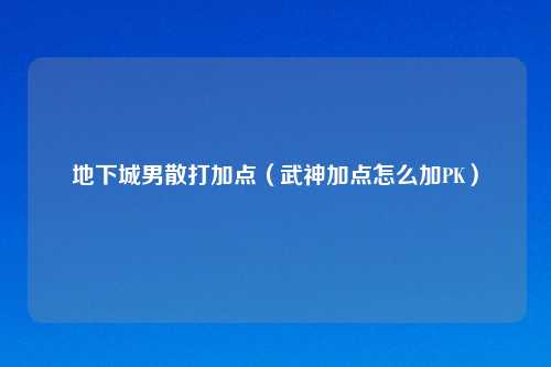 地下城男散打加点（武神加点怎么加PK）