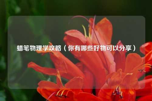 蜡笔物理学攻略(你有哪些好物可以分享)