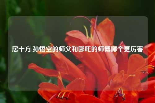 居十方,孙悟空的师父和哪吒的师傅哪个更厉害