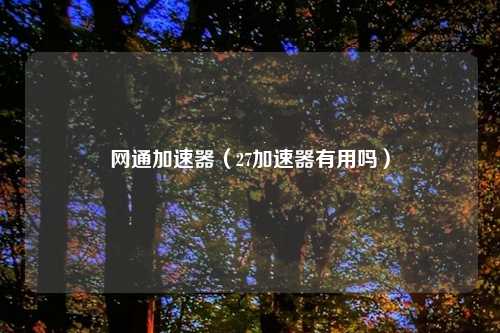 网通加速器（27加速器有用吗）
