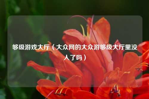 够级游戏大厅（大众网的大众游够级大厅里没人了吗）