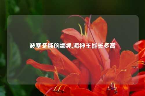 波塞冬斯的缰绳,海神王能长多高