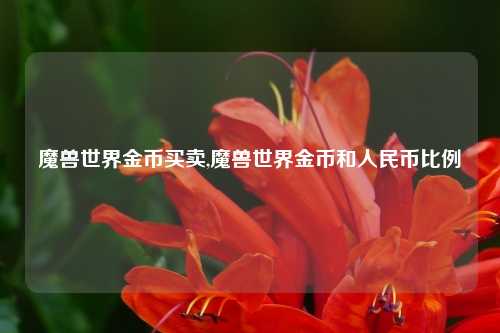 魔兽世界金币买卖,魔兽世界金币和人民币比例