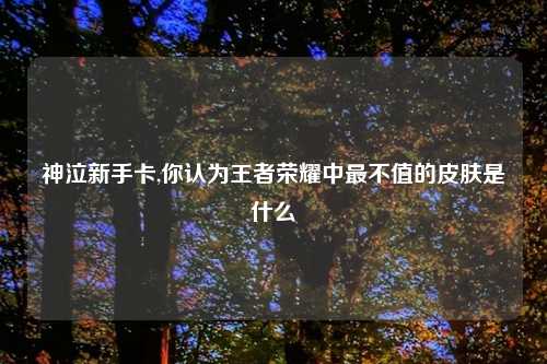 神泣新手卡,你认为王者荣耀中最不值的皮肤是什么