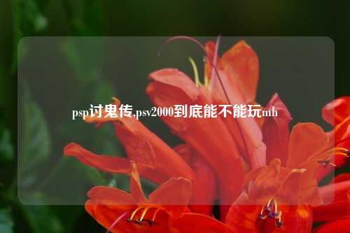 psp讨鬼传,psv2000到底能不能玩mh