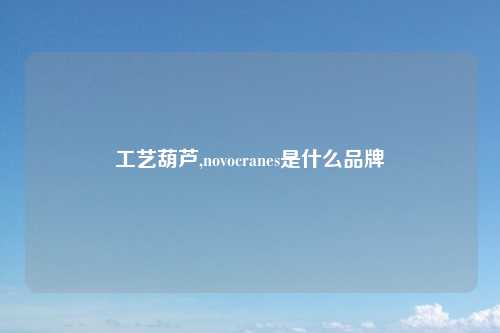 工艺葫芦,novocranes是什么品牌