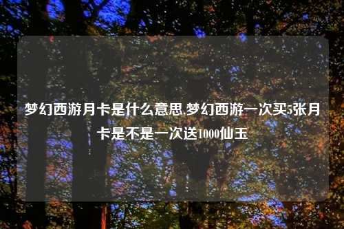 梦幻西游月卡是什么意思,梦幻西游一次买5张月卡是不是一次送1000仙玉