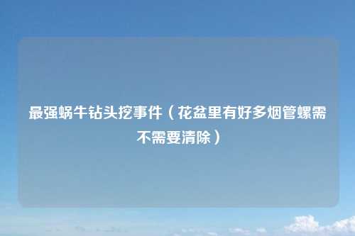 最强蜗牛钻头挖事件(花盆里有好多烟管螺需不需要清除)