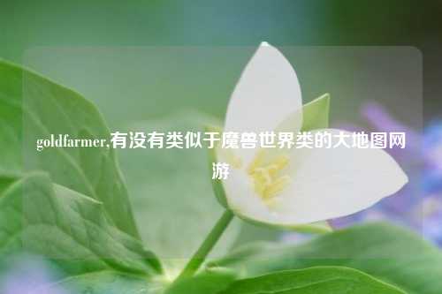 goldfarmer,有没有类似于魔兽世界类的大地图网游