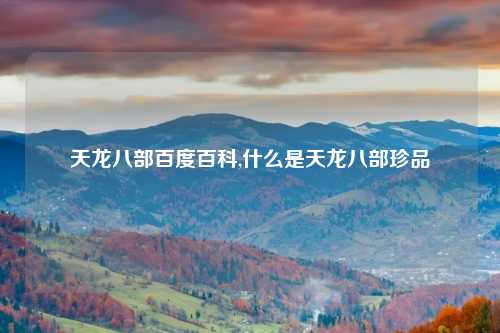 天龙八部百度百科,什么是天龙八部珍品