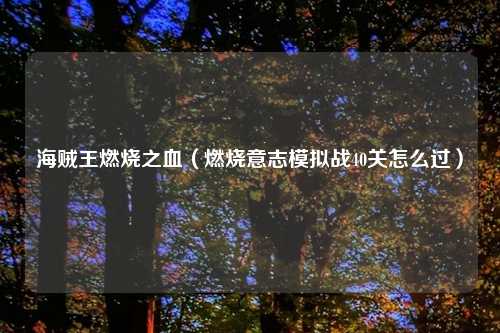海贼王燃烧之血(燃烧意志模拟战40关怎么过)