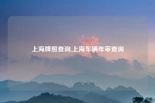 上海牌照查询,上海车辆年审查询