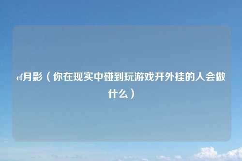 cf月影（你在现实中碰到玩游戏开外挂的人会做什么）