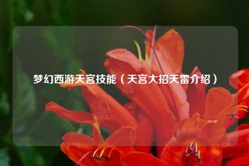 梦幻西游天宫技能（天宫大招天雷介绍）
