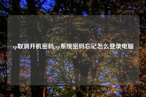 xp取消开机密码,xp系统密码忘记怎么登录电脑