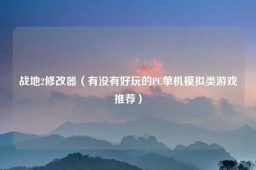 战地2修改器（有没有好玩的PC单机模拟类游戏推荐）
