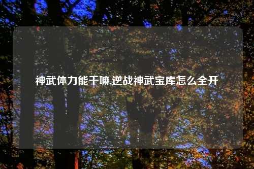 神武体力能干嘛,逆战神武宝库怎么全开