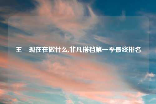 王濛现在在做什么,非凡搭档第一季最终排名