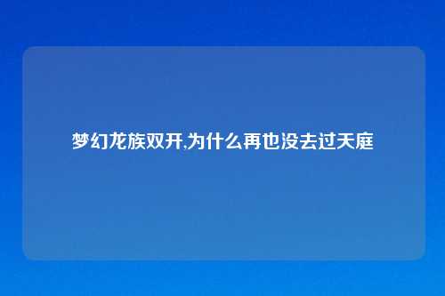 梦幻龙族双开,为什么再也没去过天庭