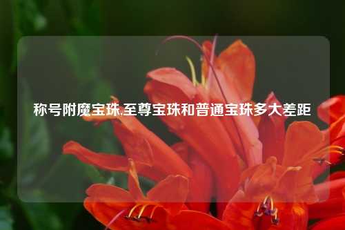 称号附魔宝珠,至尊宝珠和普通宝珠多大差距