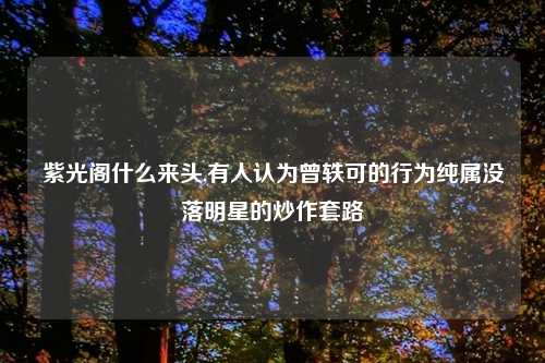 紫光阁什么来头,有人认为曾轶可的行为纯属没落明星的炒作套路