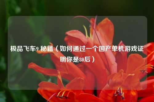 极品飞车9 秘籍(如何通过一个国产单机游戏证明你是80后)