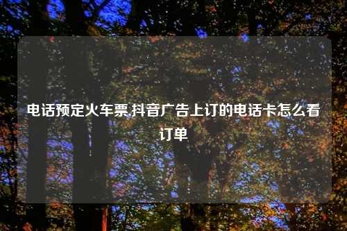 电话预定火车票,抖音广告上订的电话卡怎么看订单