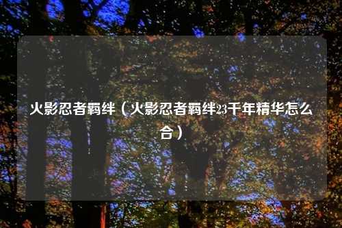 火影忍者羁绊（火影忍者羁绊23千年精华怎么合）