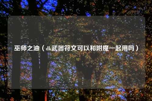 巫师之油（dk武器符文可以和附魔一起用吗）