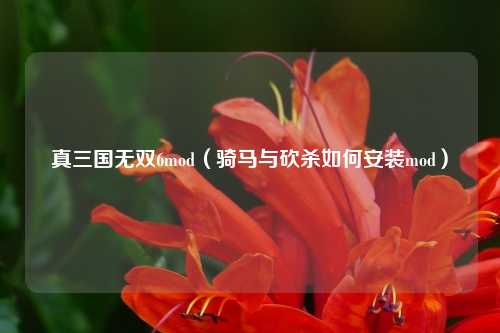 真三国无双6mod（骑马与砍杀如何安装mod）