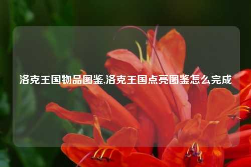 洛克王国物品图鉴,洛克王国点亮图鉴怎么完成